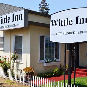 Wittle Motel